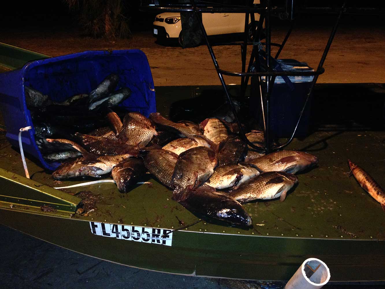 Premier Bowfishing in Florida - Guided Bowfishing Charters