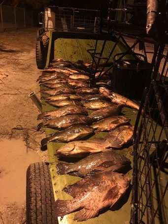 Bow-Fishing-Lake-Okeechobee-SouthFloridaFishingandHunting.com