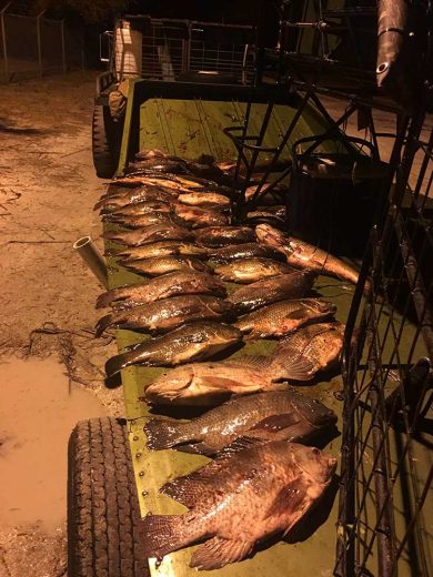 Bow-Fishing-Lake-Okeechobee-SouthFloridaFishingandHunting.com