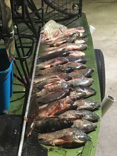 Bow-Fishing-Lake-Okeechobee-SouthFloridaFishingandHunting.com