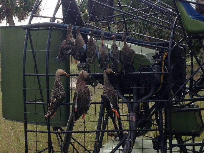 Duck-Hunting-SouthFloridaFishingandHunting.com