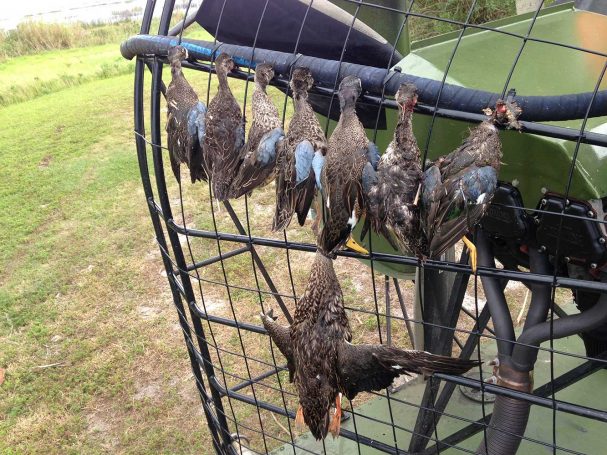 Duck-Hunting-SouthFloridaFishingandHunting.com