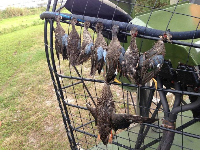 Duck-Hunting-SouthFloridaFishingandHunting.com