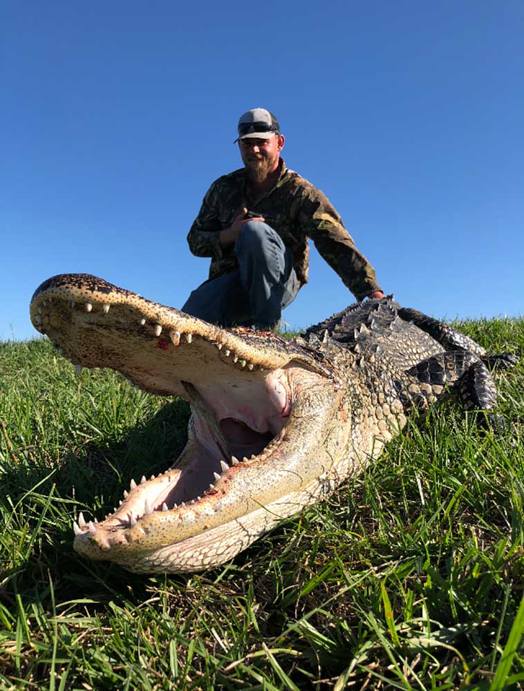 alligator hunting South Florida