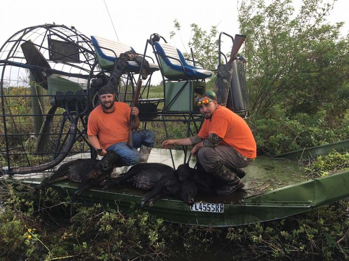 Hog-Hunting-Okeechobee-SouthFloridaFishingandHunting.com