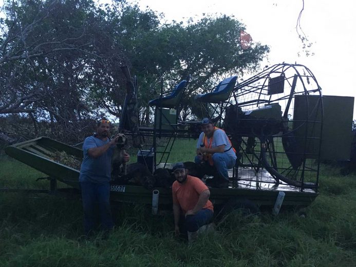 Hog-Hunting-Okeechobee-SouthFloridaFishingandHunting.com