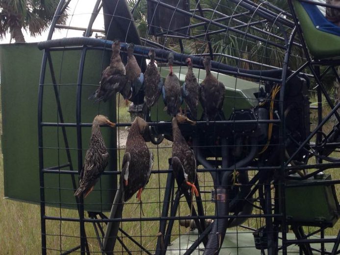 Duck Hunts - SouthFloridaFishingandHunting.com