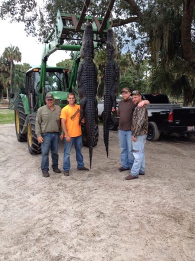 Big Gator Hunt - SouthFloridaFishingandHunting.com