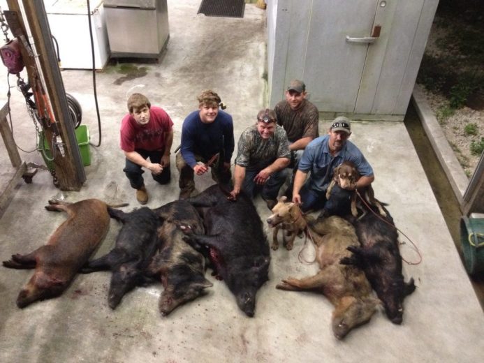 Wild Hog Hunt - SouthFloridaFishingandHunting.com