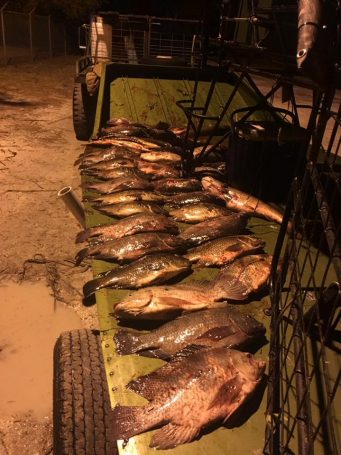 A good Night Catch - SOUTHFLORIDAFISHINGANDHUNTING.COM