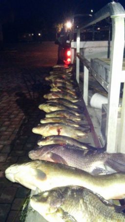A good day's fishing - SOUTHFLORIDAFISHINGANDHUNTING