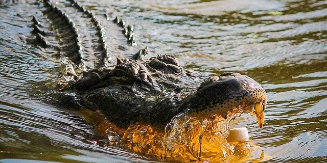southfloridafishingandhunting.com