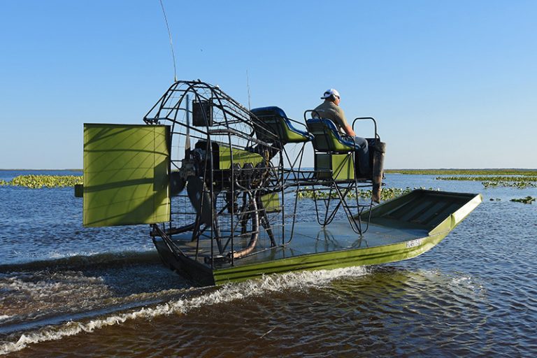 Python Hunting | South Florida Fishing And Hunting