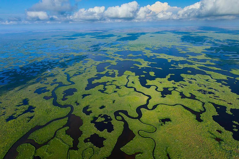 airboat rides tours south florida everglades lake okeechobee