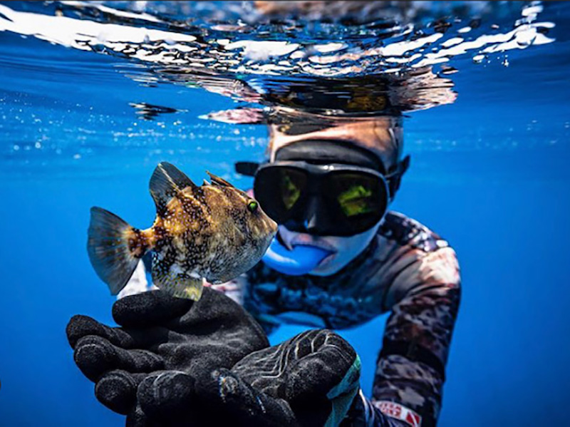 spearfishing and freediving trips in south florida and the bahamas
