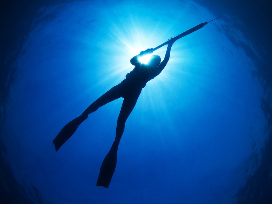 spearfishing and freediving trips in south florida and the bahamas