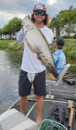 Clown Knife Fish caught during Fishing Trip in South Florida