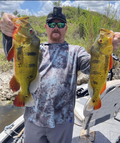 Double Peacock Bass Slam on another successful Fishing Trip in South Florida