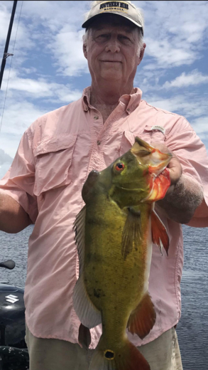 Happy Peacock Bass Fishing Trip Client