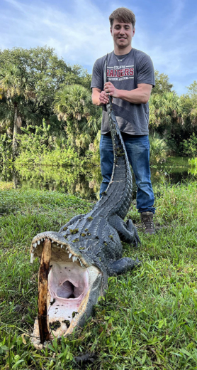 Happy client catches wild alligator on a successful gator hunting trip
