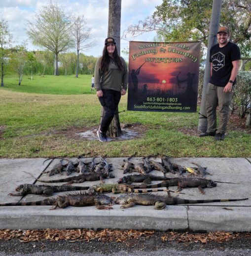 This couple has a blast hunting Iguanas in South Florida