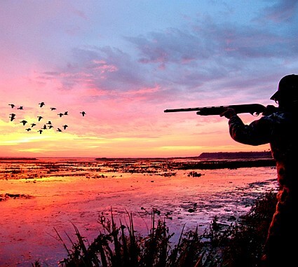 Florida Duck Hunting Guides