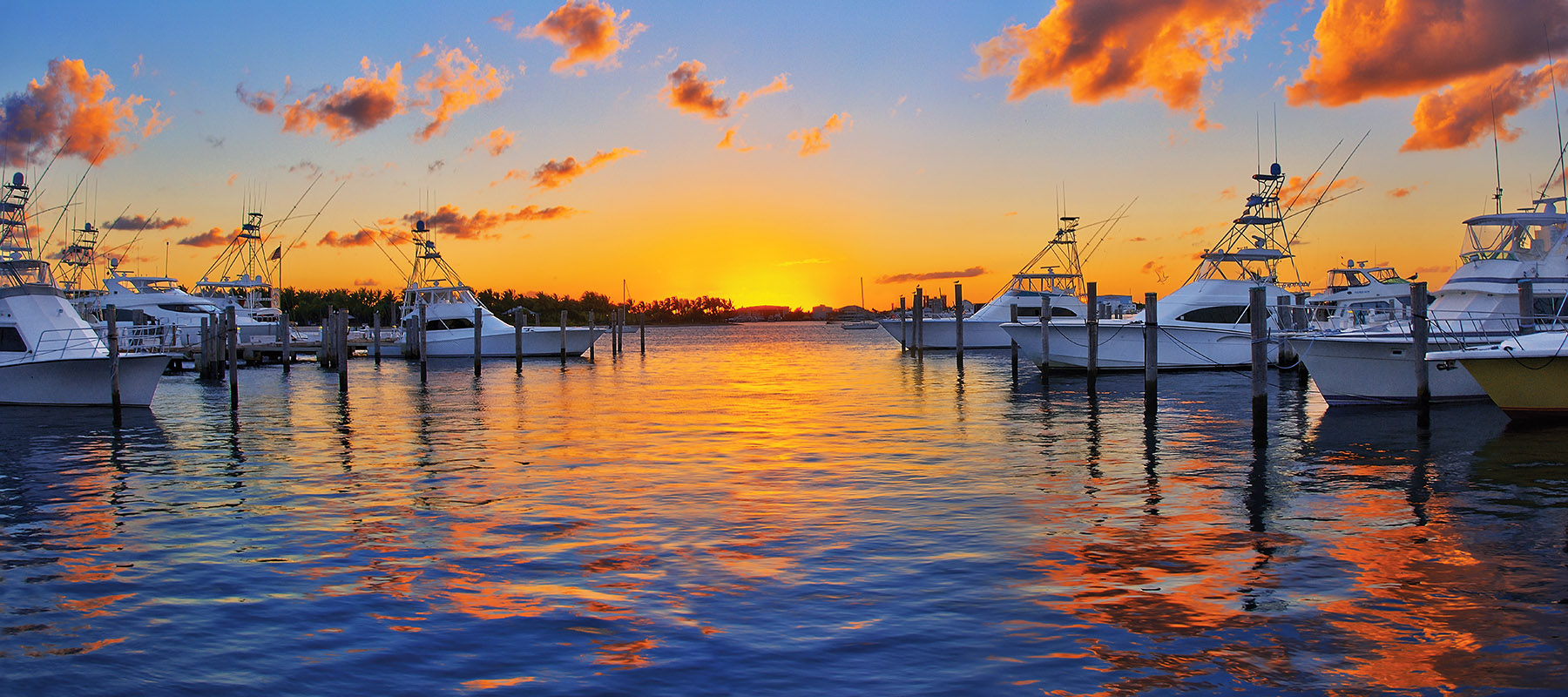 Florida offshore fishing